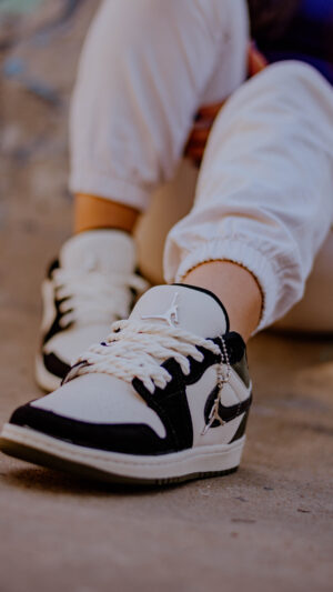 NIKE SB LOW JORDAN