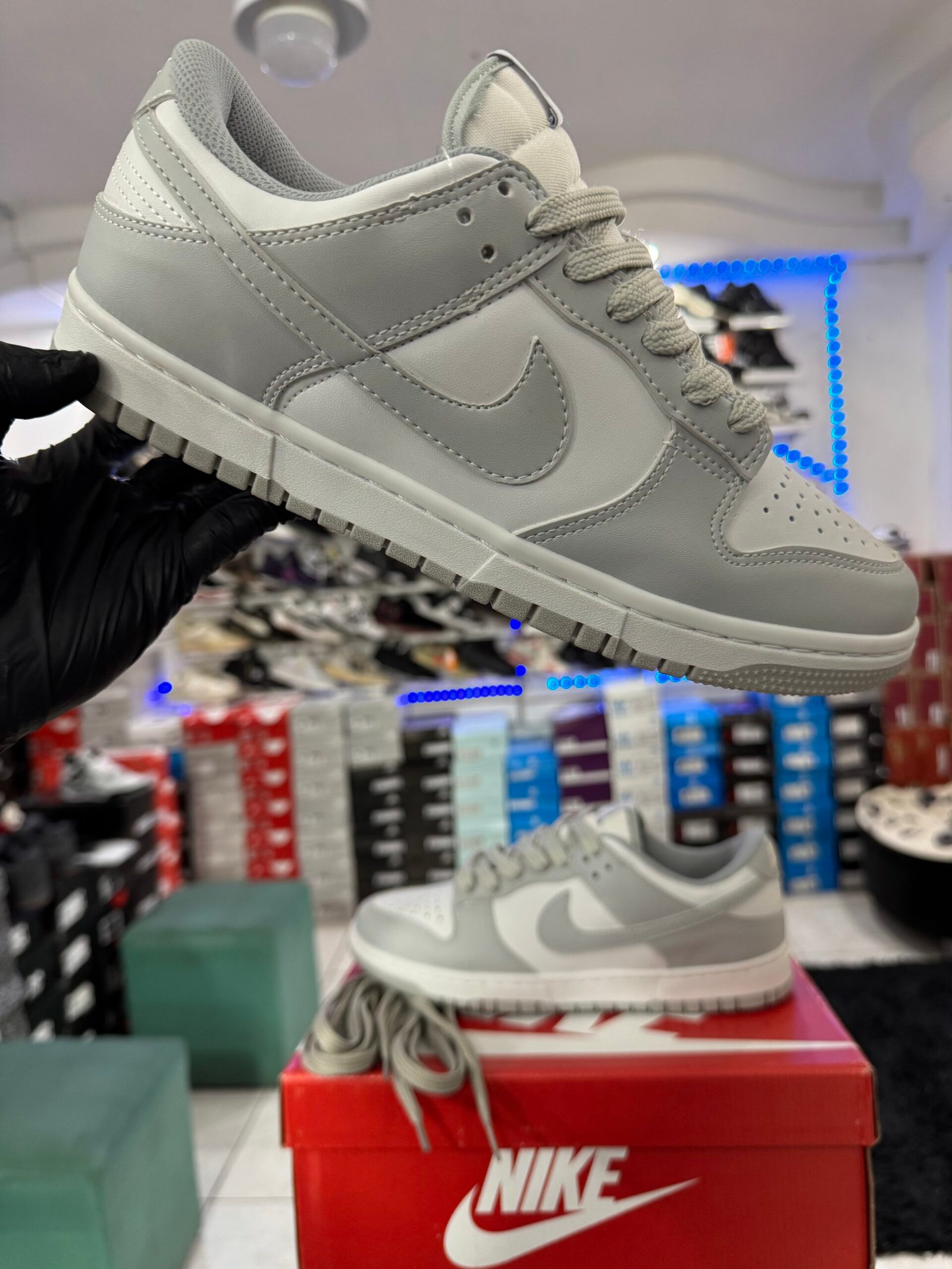 NIKE SB DUNK LOW
